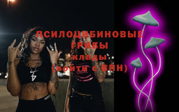 соль ск Алзамай