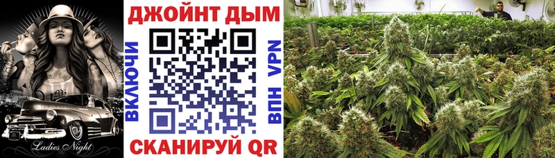 Конопля план  Заполярный 